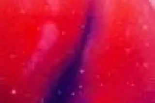 🍑🪵💧💧💧Head & pussy link incall - Image 1